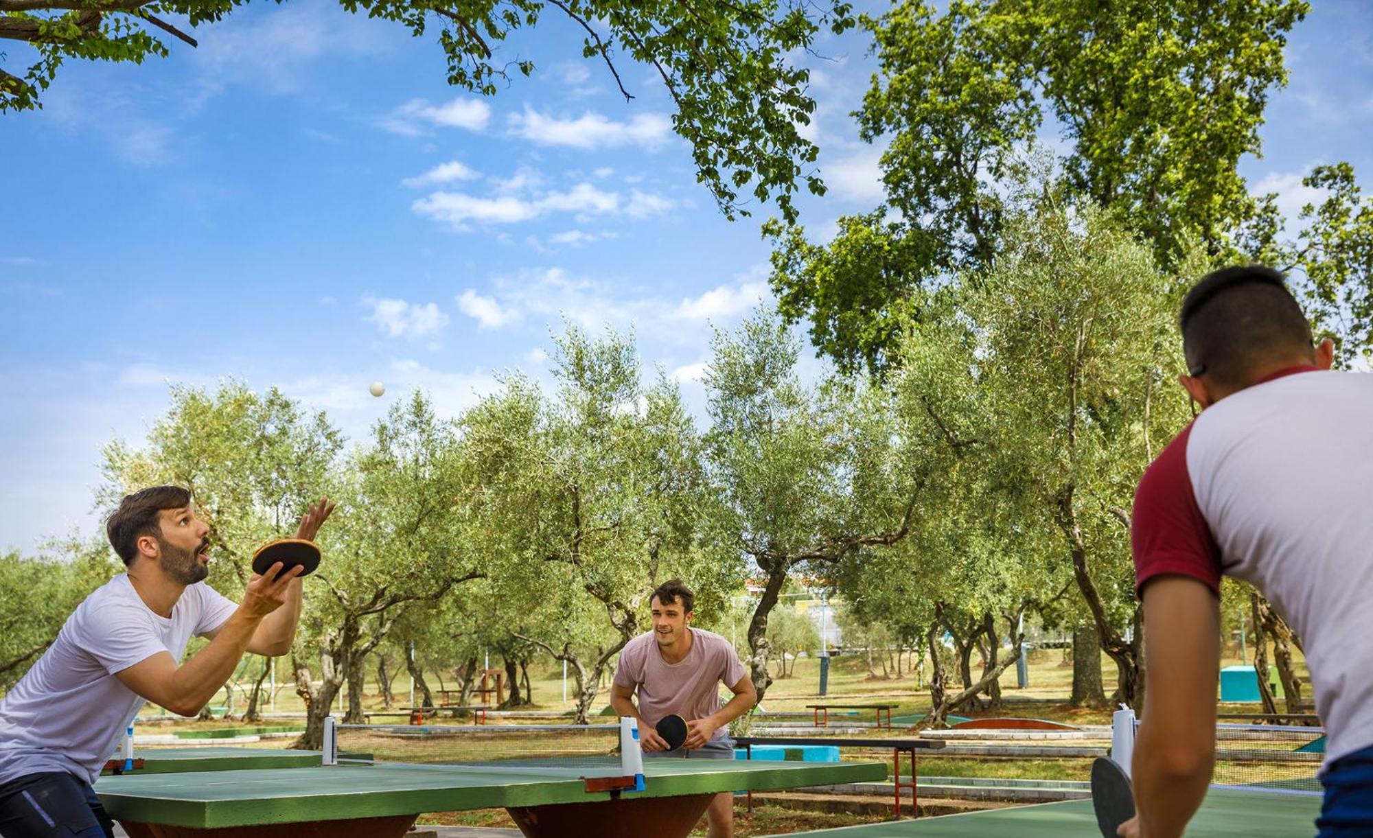 Aminess Planet Camping Maravea Resort - Pitches Novigrad Istria Buitenkant foto